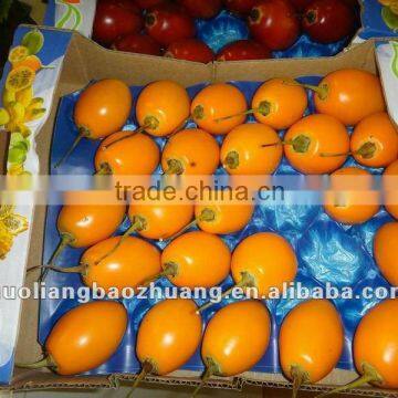 2014 Plastic PP Vegetable Packing Punnet Tray