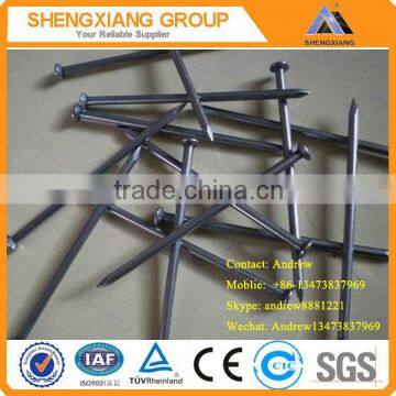 Sharp Point Polished/Galvanized Common Nails (Factory)