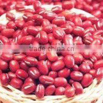 CHINA Red Kidney Beans With Excellent QualityI (hot Sale)
