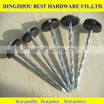 Roofing Nail With Umbrella Head photo-4