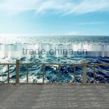 3 x 2 Meters Scenic Background Digital Backdrop For Photograph Studio