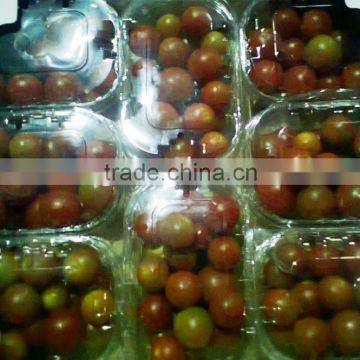 Fresh Cherry Tomatoes