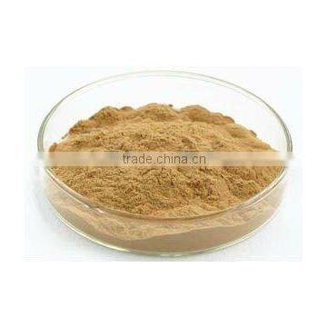 Gymnemic Acids 75% Plant extract