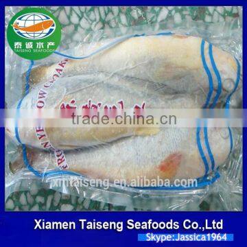 Frozen Yellow Croaker Export to USA photo-5