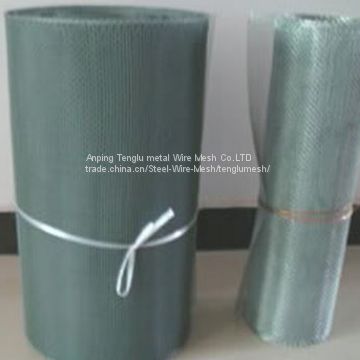 Epoxy Coated Steel Wire Mesh/Coated Welded Mesh