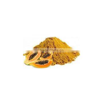 PAPAYA FRUIT POWDER FOR AYURVEDIC REMEDY photo-2