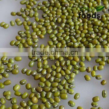 New Crop Green mung bean price