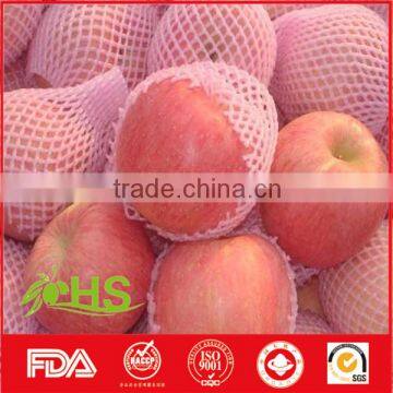 Healthy and Nutritious Fresh Red Fuji Apple photo-4