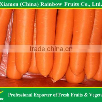 2015 fresh carrot with top quality