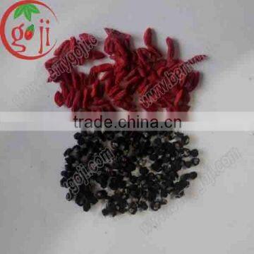 Dried Qinghai organic black goji berry/Black goji berries price