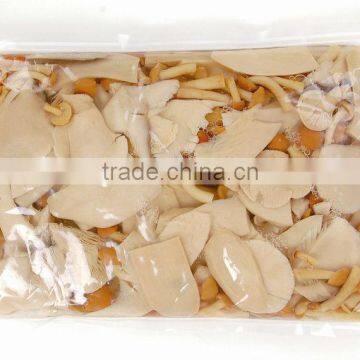 King Oyster Mushroom Spawn 1kg Oyster Mushrooms