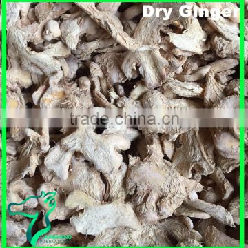 Wholesale Dry Ginger