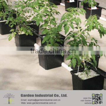 Factory Perlite Water Retain Growing Medium photo-2