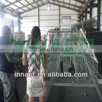 HOT SALE poultry farm house