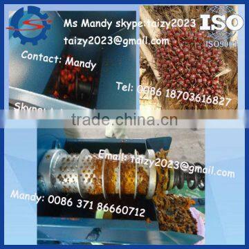 small type palm kernel oil extraction machine /palm oil extraction machine 0086 18703616827