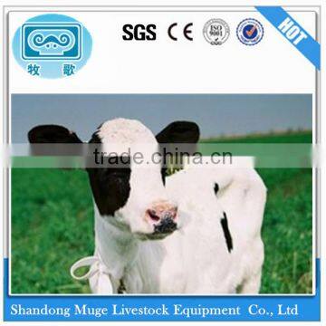 Wholesale Animal cow Ear Tag