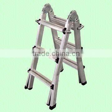 Little giant ladder