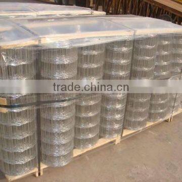 Galvanized Welded Fabric Mesh photo-6