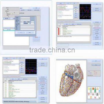 17D/9D-NLS Health Analyzer Cell Therapy Health 9d Nls Monitor Automatic Factory Price photo-4
