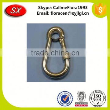 China Supplier Custom Different Carabiner Hook with eyelet