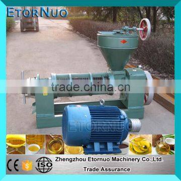 High Capacity Automatic Screw Sacha Inchi Oil Press Machine