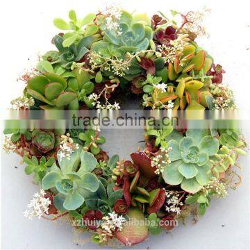 Ring wet floral foam, ring florist foam, ring round flower mud for flower decoration