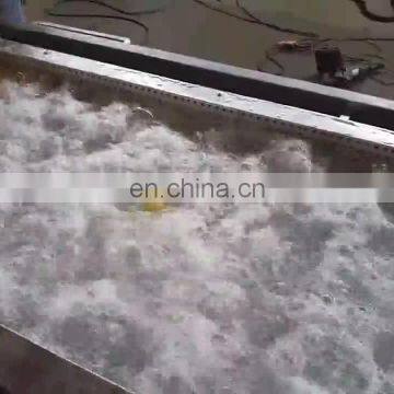 Vegetable Fruit Washing Drying Production Line