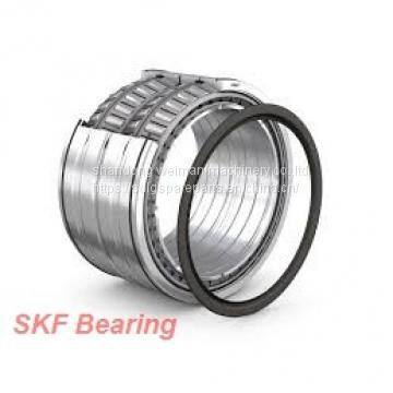 SKF Bearings