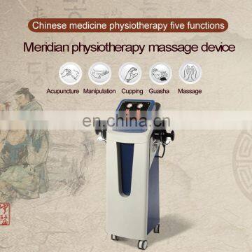 Multifunctional Beauty Instrument Electric Guasha Device Vertical Machine photo-4