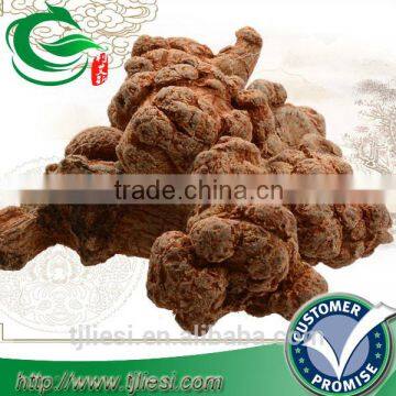 supply pseudo-ginseng not extract