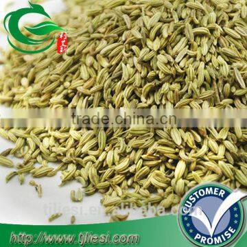 supply fennel for pungent spice