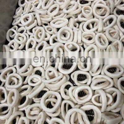Good Quality Frozen Precooked Skin on Squid Ring photo-2