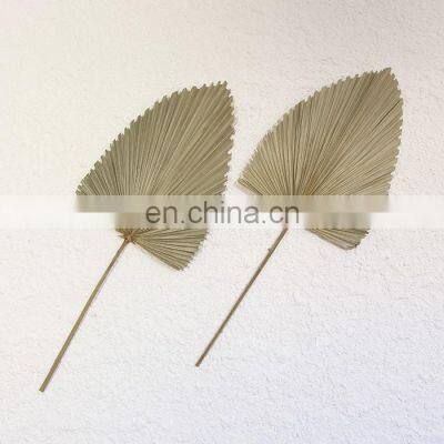 !00% Nature Cheap in Bulk Palm Leaf Fan Wall Art Traditional Woven Decoration Best Price Wholesale photo-5
