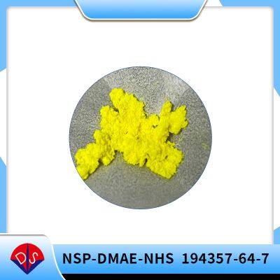 Stability and Precautions of Acridine Ester (NSP-SA-NHS)