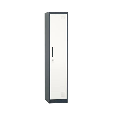 Modern Single-Door Steel Locker School & Office Locker with Lock for Gym