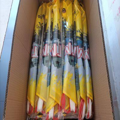 OEM All Shapes, Design and Kinds of Kites for Advertising and Activities Occasions photo-3