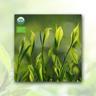 Box Green Tea Matcha Powder photo-5