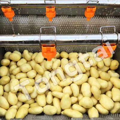 Potato, Sweet Potato, Cassava Cleaning and Peeling Machine photo-3
