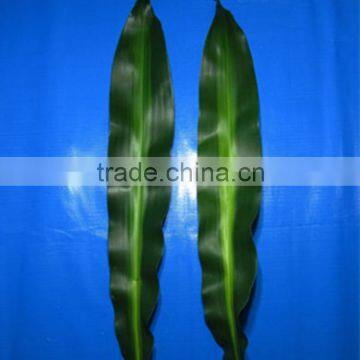 Top quality best selling green brazil leaves