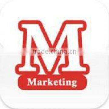 website internet marketing service