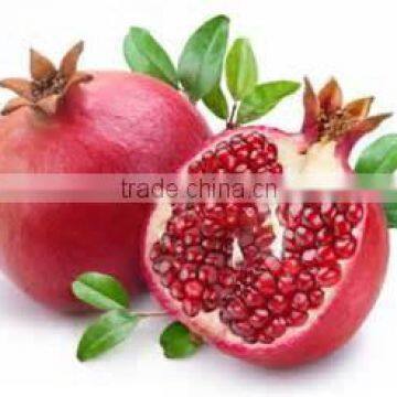 40ml Pomegranate Seed Oil