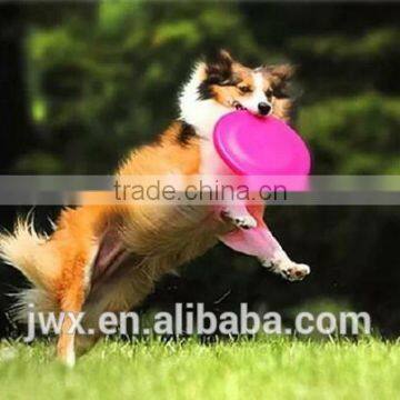 Frisbee games to play outside with your pets