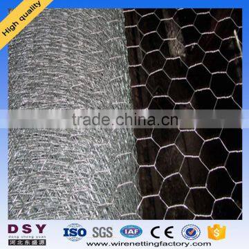 chicken wire mesh/hexagonal wire netting