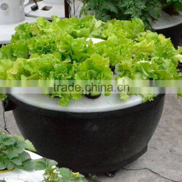 72CM2015 New Min Aeroponic System for Tomato and Strawberry for greehouse/indoor/garden decoration