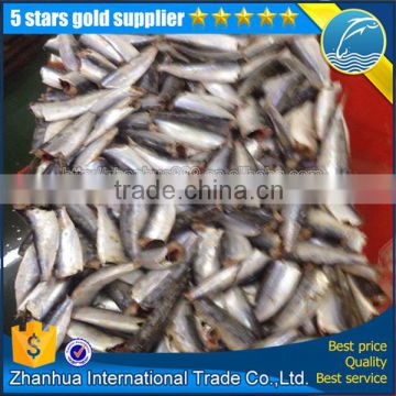 Frozen HGT sardine fish for canning, sardine whole round price