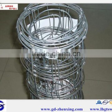 China supplier wholesale hot-dipped galvanized rolls of sheep fencing (ZX-NLW006)