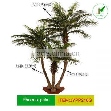 artificial phoenix palm tree in group for project decor