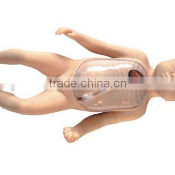 MCT-KC-005 Neonatal Peripheral and Central Vein Intubation Model