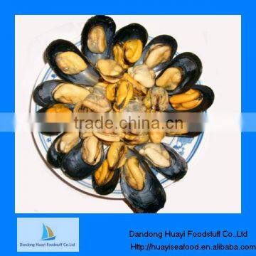 shelled mussels supplier