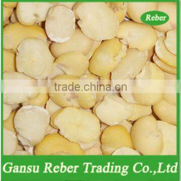 Split Broad Beans Gansu origin size100-130pcs/100g 130-160pcs/100g 160-200pcs/100g